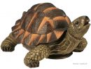 Tortue Verte, 28 Cm En Résine, Déco De Jardin, Riviera ... serapportantà Animaux Deco Jardin