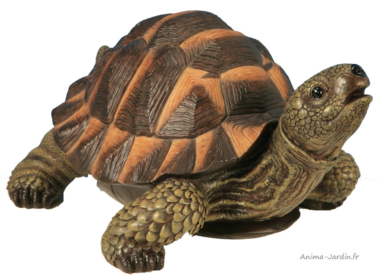 Tortue Verte, 28 Cm En Résine, Déco De Jardin, Riviera ... serapportantà Animaux Deco Jardin