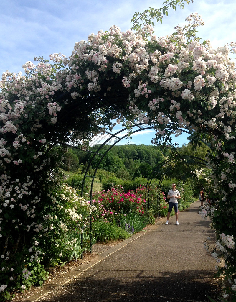Un Arceau De Roses Blanches Au Jardin Botanique De Villers ... intérieur Arceau De Jardin