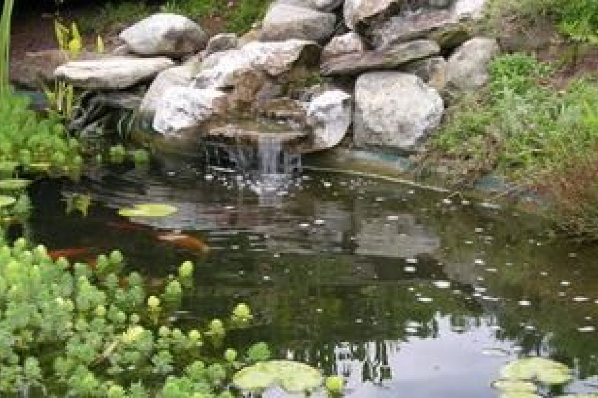 Un Bassin De Jardin Avec Cascade pour Creation Cascade Bassin Jardin