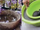 Un Grand Pot Rond En Béton Pour Mon Jardin | Pots En Béton ... intérieur Grand Pot Pour Jardin