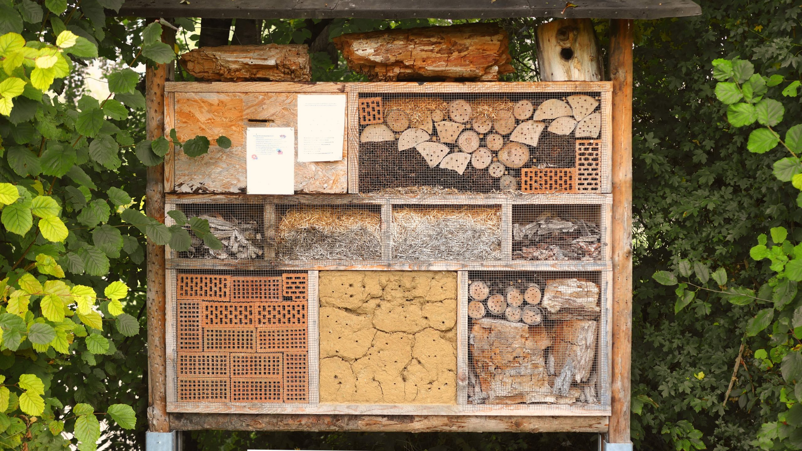 Un Hôtel À Insectes Pour Son Jardin | Les Éclaireurs à Abris Pour Insectes Du Jardin