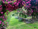 Un Jardin Extraordinaire | Image De Jardin, Idee Jardin ... concernant Jardins Fleuris Paysagiste
