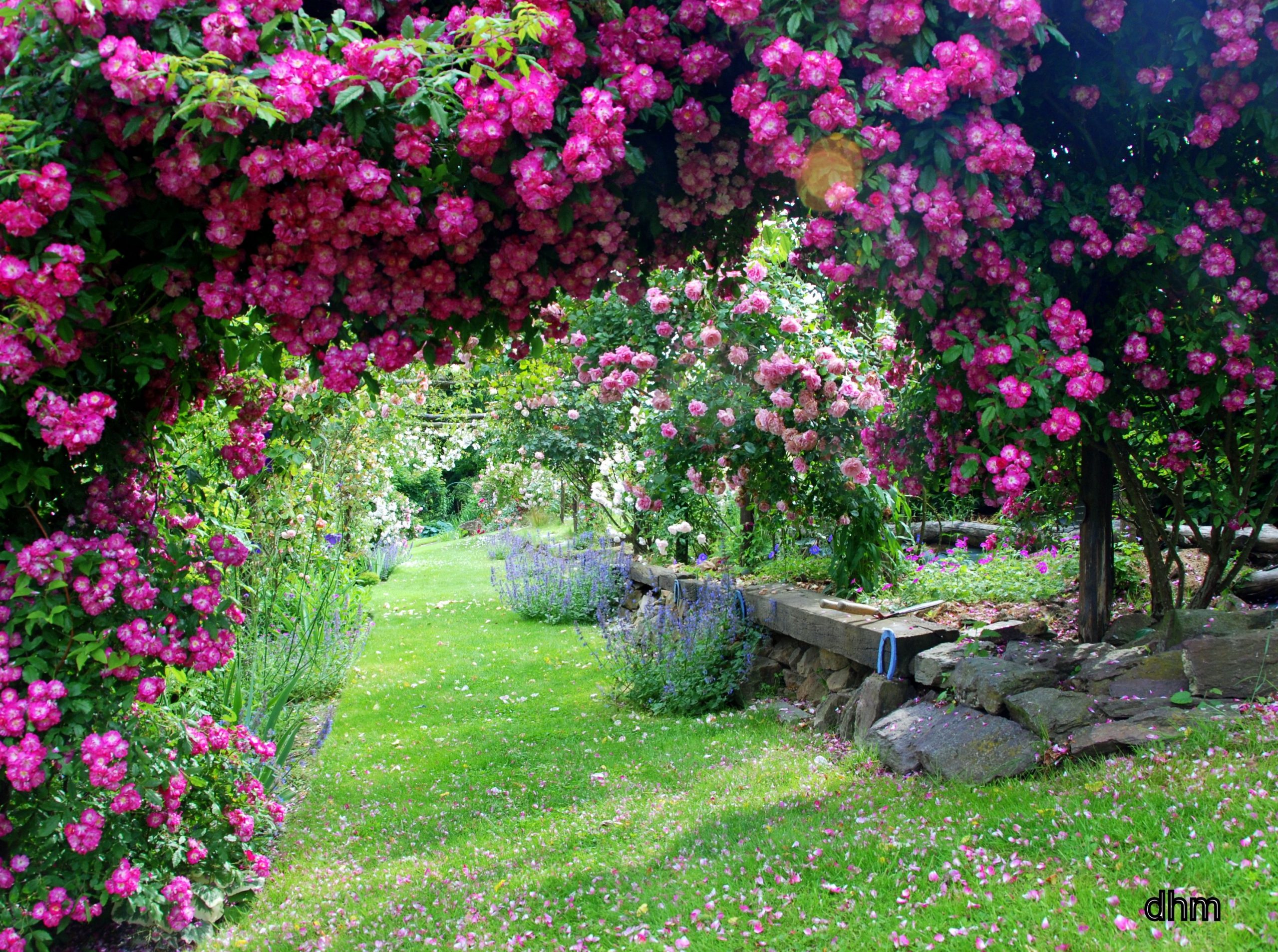 Un Jardin Extraordinaire | Image De Jardin, Idee Jardin ... concernant Jardins Fleuris Paysagiste