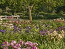Un Jardin Pour Les Bouquets | Espace Pour La Vie serapportantà Fleurs À Couper Au Jardin