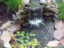 Une Cascade D'eau Dans Un Bassin De Jardin Parfaitement ... intérieur Construction D Un Bassin De Jardin Avec Cascade