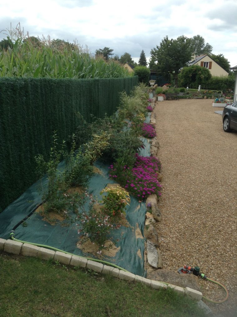 Une Toile De Paillage Verte En Harmonie Avec Les Teintes De ... concernant Toile Couvre Sol Jardin