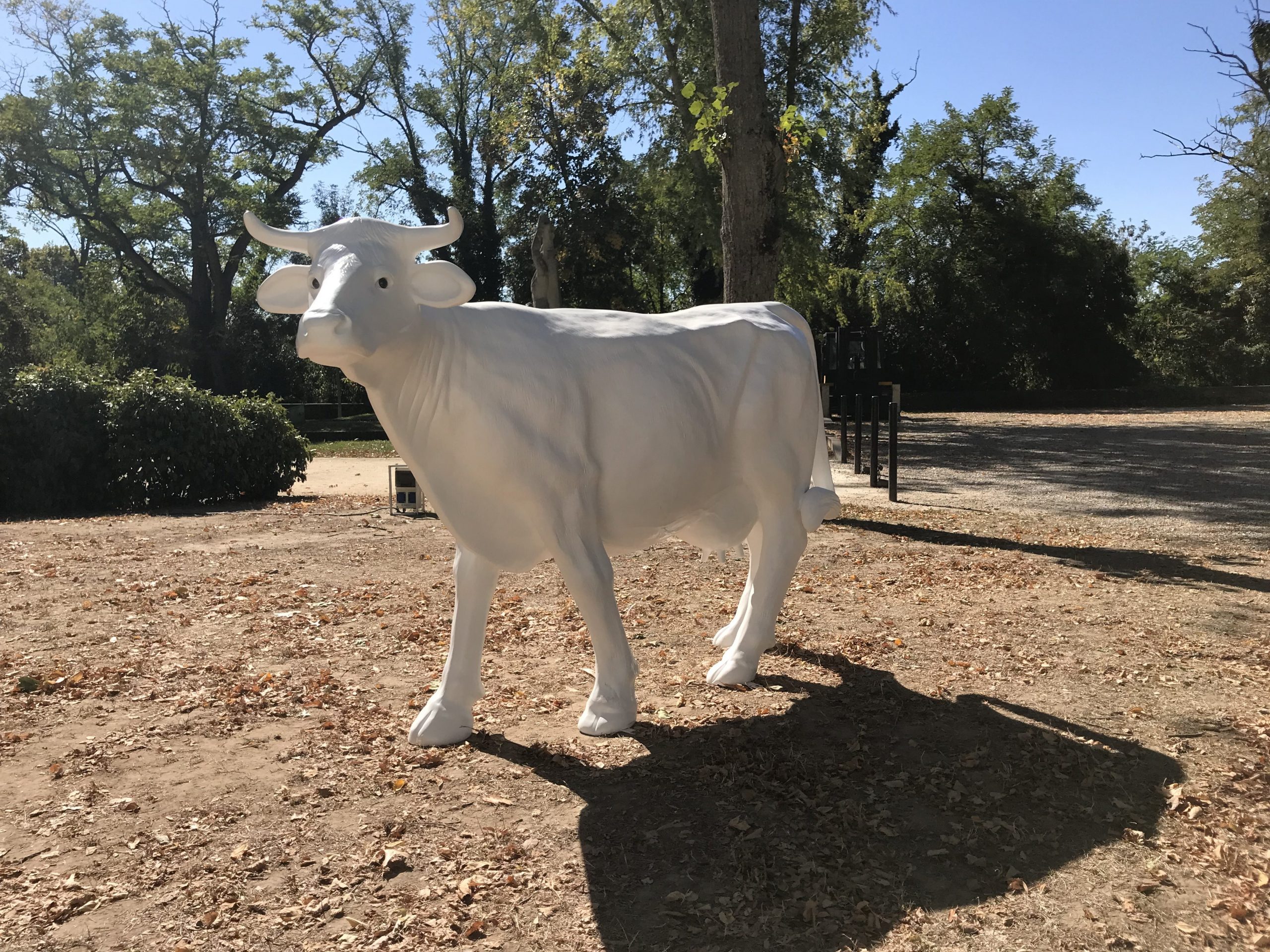 Vache Xl Résine Blanc Uni - Blondeau Amenagement - Tout Pour ... pour Vache En Resine Pour Jardin