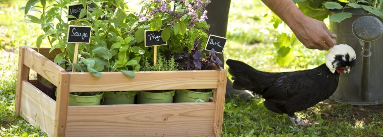 Ventes Privées Botanic® : Une Sélection De Produits Pour Le ... tout Vente Privee Jardin Ventes Privées Botanic® : Une Sélection De Produits Pour Le ... tout Vente Privee Jardin