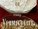 What's It Gonna Be? Vermiculite Or Perlite For Hypertufa ... à Perlite Jardin