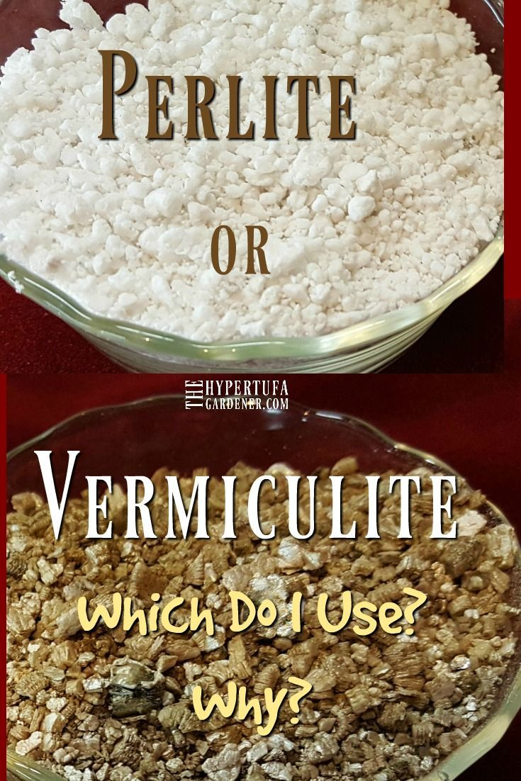 What's It Gonna Be? Vermiculite Or Perlite For Hypertufa ... avec Vermiculite Jardin