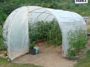 Serre De Jardin Polycarbonate 18M2 - Veranda Et Abri Jardin pour Serre De Jardin 18M2 Polycarbonate