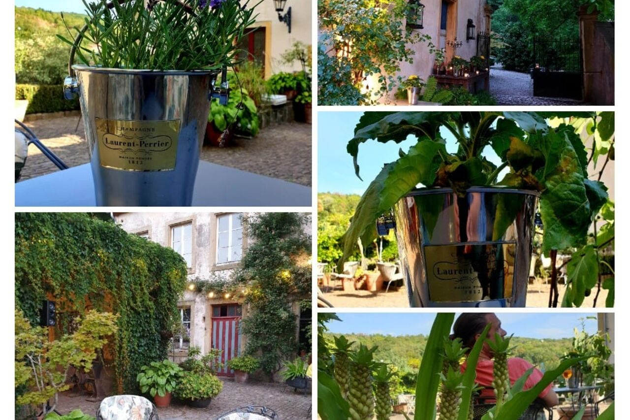 Un Jardin De France - Sierck Les Bains | Französische Küche ... à Un Jardin De France Sierck Les Bains