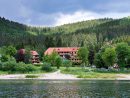 L'Auerhahn - Votre Hôtel Spa 4 Étoiles Dans La Forêt Noire avec Hotel Foret Noire Avec Piscine Demi Pension