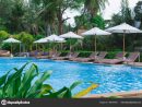 Swimming Pool And Bar By A Beach 195016440 encequiconcerne Piscine O'Bya