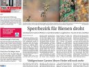 Weser Report - Ost Vom 09.06.2019 By Kps Verlagsgesellschaft ... tout Lame.comde Cumaru