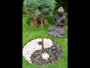 Yinyang Jardin Japonais Zen Yin Et Yang - Yin&amp;Yang - Yin ... avec Bordure Jardin Japonais