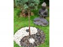 Yinyang Jardin Japonais Zen Yin Et Yang - Yin&amp;Yang - Yin ... concernant Deco Jardin Zen Extérieur Pas Cher