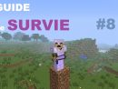 0247- Minecraft 1.5 Guide De Survie #8 - Il Est Beau Mon ... encequiconcerne Beau Potager Minecraft