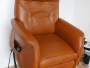 Fauteuil Everstyl Ariane Occasion | Fauteuil &amp; Coussin pour Fauteuil Everstyl Prix