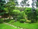 File:jardin Du Musée Albert-Kahn.le Village Japonais 03 By ... destiné Couvre Sol Japonais