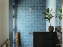 1001+ Designs Uniques Pour Une Salle De Bain Turquoise à Salle De Bain Bleu Turquoise