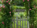 Arche Fleurie : 11 Façons De L'Inviter Dans Le Jardin ... intérieur Arche De Jardin Jardiland