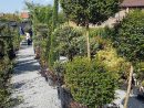 Green Spirit Garden Center — Jardinerie À Linkebeek À ... à Luxconcassage