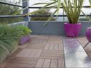 Terrasse &amp; Jardin | Leroy Merlin | Dalle Clipsable, Design ... serapportantà Plot Pour Terrasse Composite Leroy Merlin
