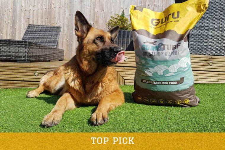 Best Cold-Pressed Dog Food For German Shepherds: My Favorite Pick ... concernant Best Food For German Shepherd Puppy Uk