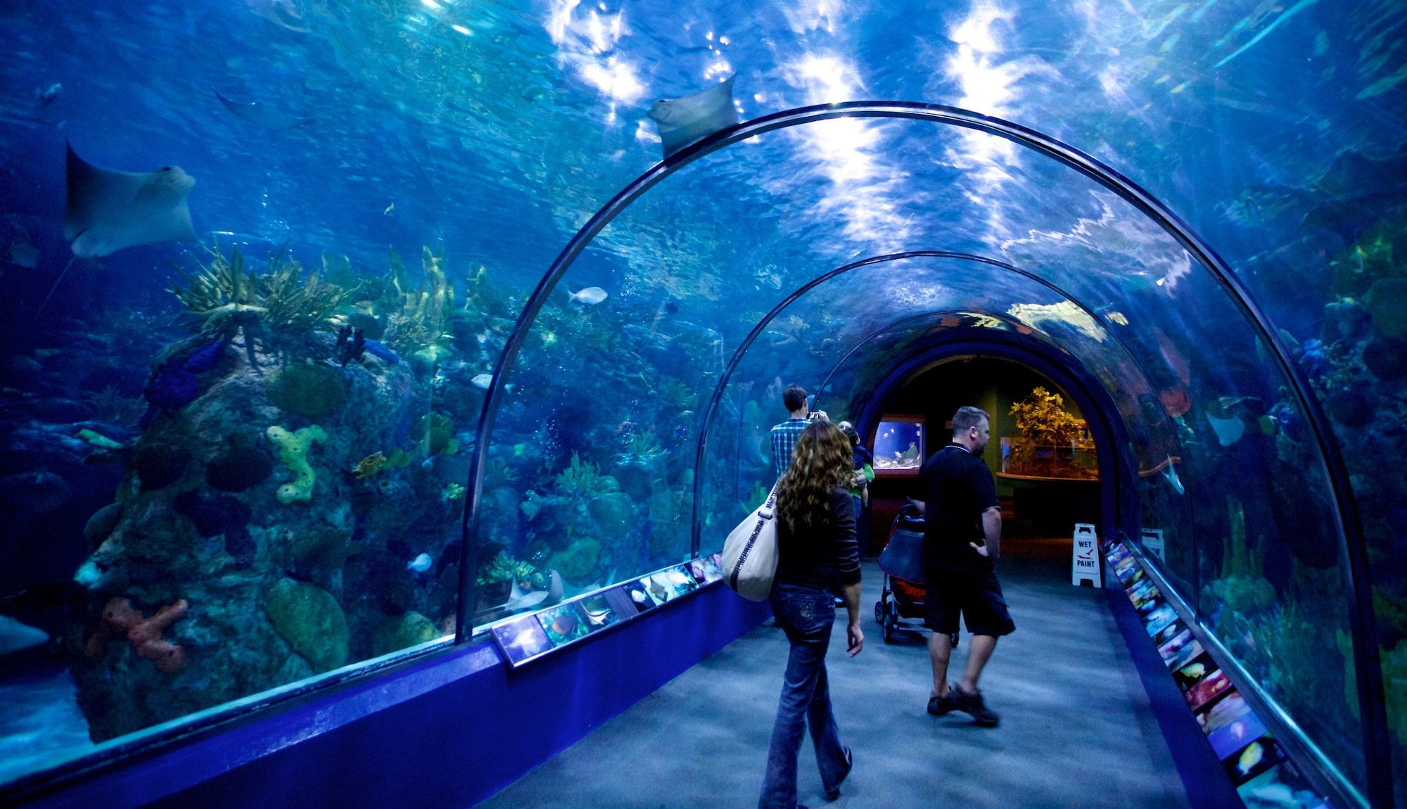 Audubon Aquarium - French Quarter ｜Expedia.com.sg