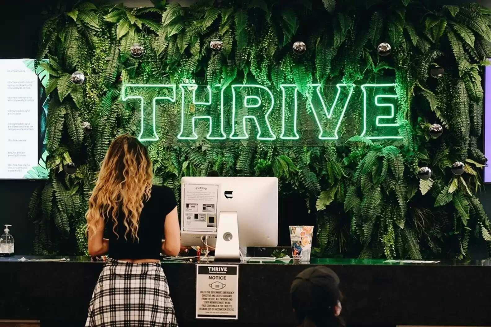 The best cannabis dispensaries in Las Vegas 2024 | The Cannigma