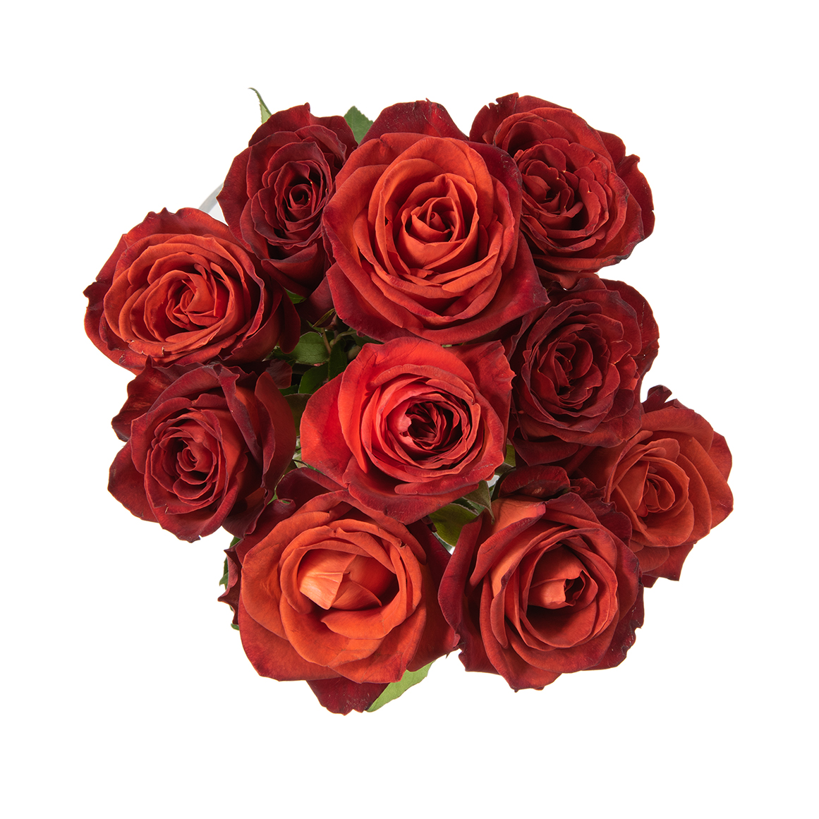 Café Del Mar Speciality Roses 10 Stems | Woolworths.co.za