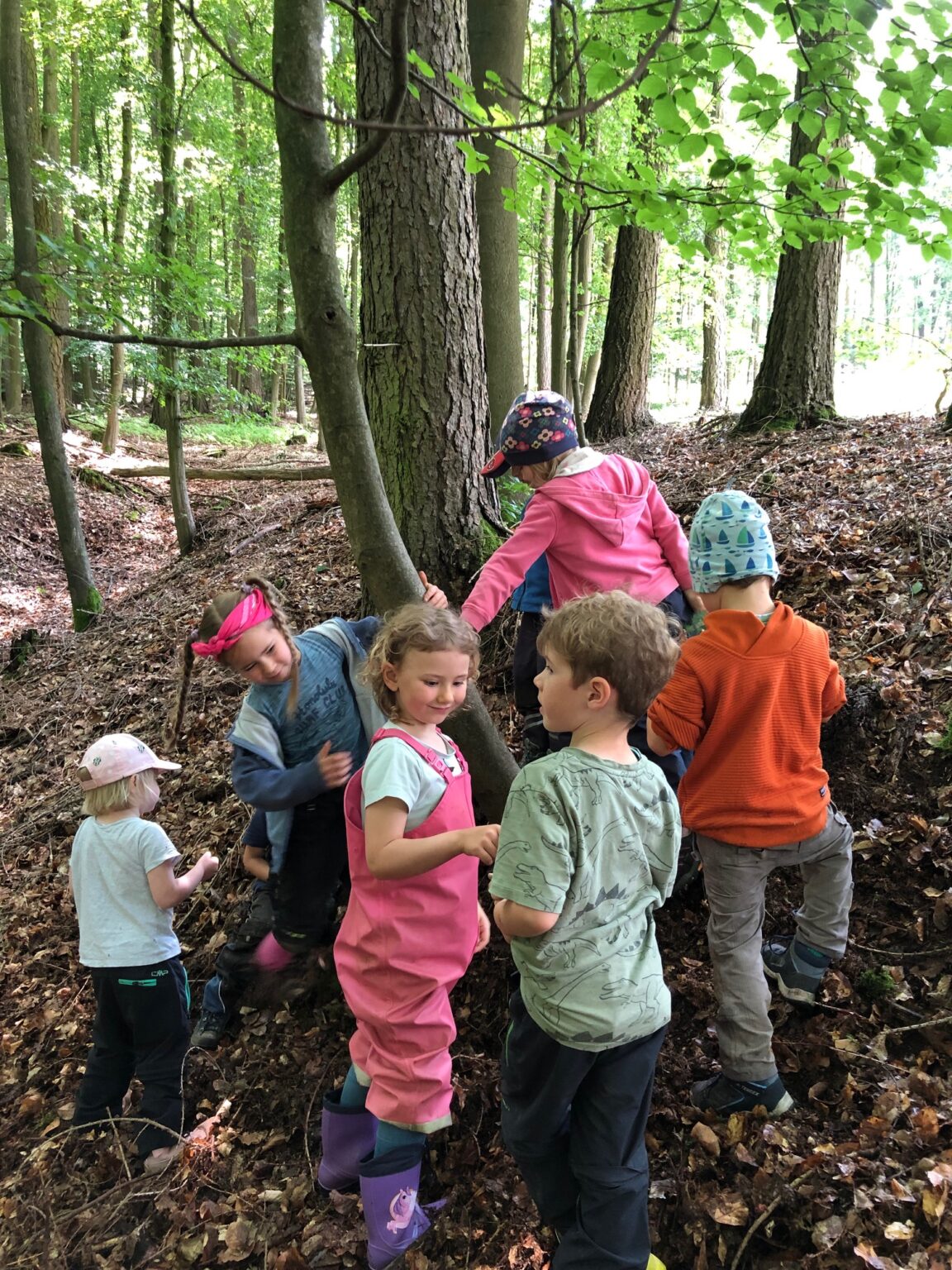 alzenau kindergarten