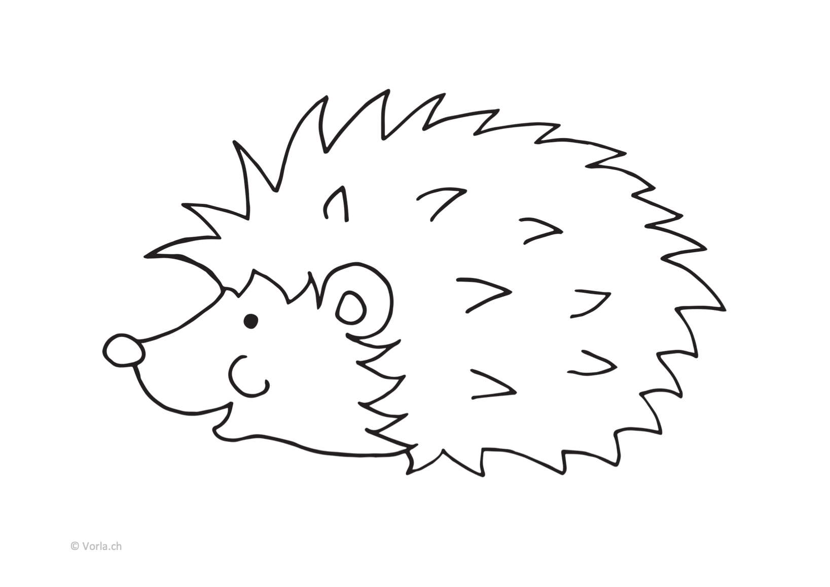 Igel Schablonen zum Ausdrucken: Kostenlose Ausmalbilder für Groß & Klein!