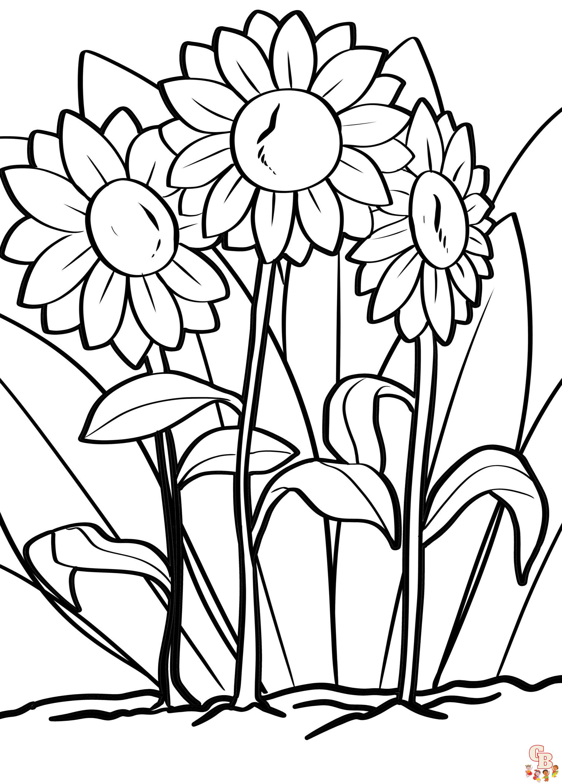 Sonnenblume Gezeichnet: Kostenlose Ausmalbilder für Groß und Klein – Kreativität erblüht!