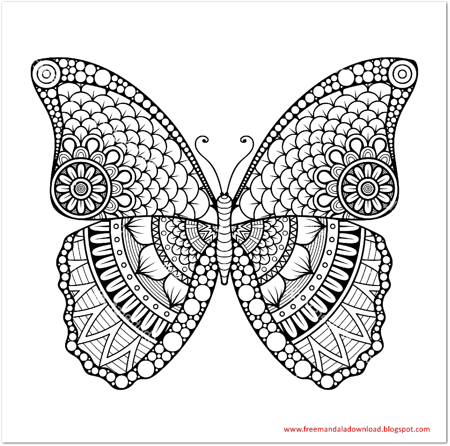 schmetterling mandalas