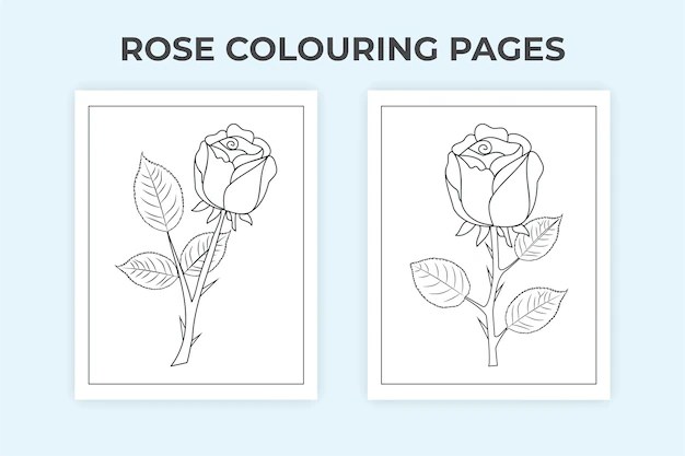 Zeichnung Rosen: Die Königin der Blumen zum Ausmalen – Entspannung und Kreativität für Jung und Alt