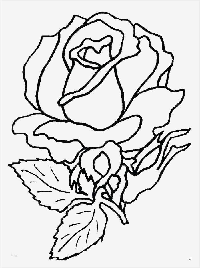 Blumen Schablonen zum Ausdrucken: Kreative Ausmalbilder für Groß und Klein – Kostenlos!