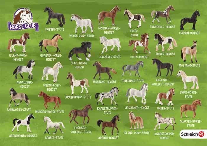 Schleich Horse Club: Ein Pferde-Abenteuer zum Ausmalen – Kreativität für Groß und Klein!