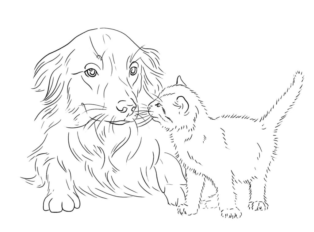 Hund und Katze Zeichnen Einfach: Ausmalbilder Kostenlos für Groß und Klein!
