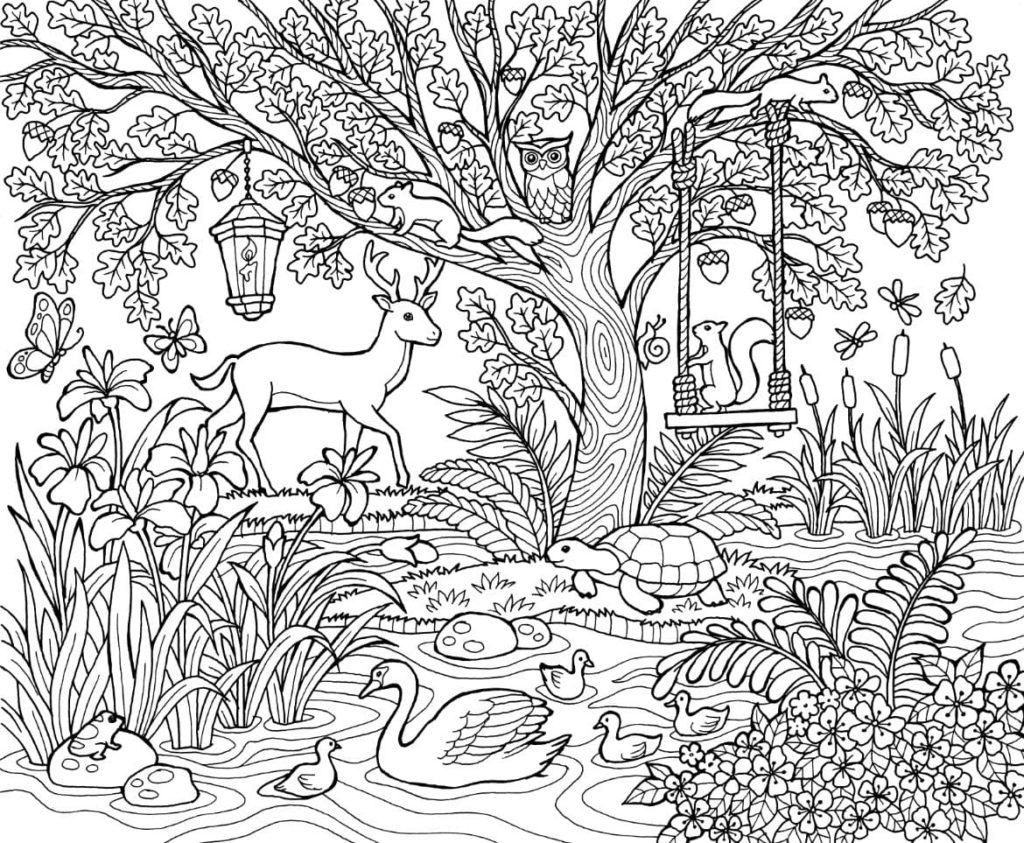Im Einklang mit der Natur: Ausmalbilder für Groß und Klein – Entspannung, Kreativität und kostenlose Vorlagen!