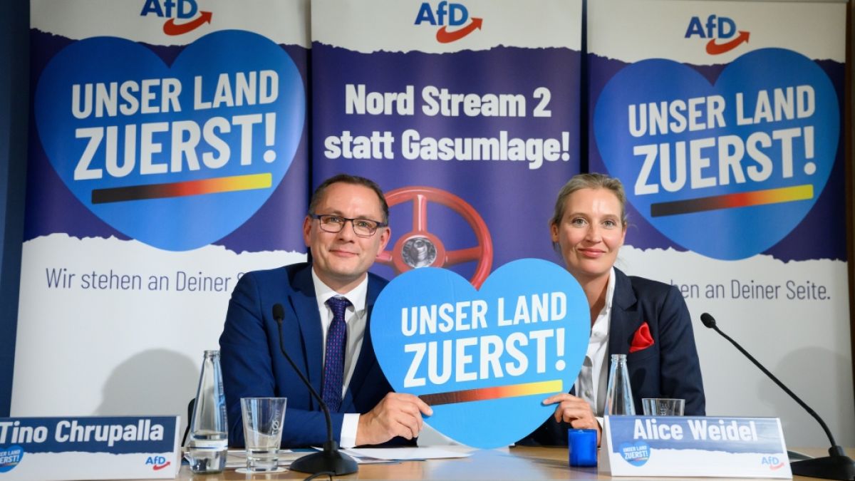 Demonstrationen in Berlin am 08.10.2022: AfD-Vorsitzender: Grüne wollen