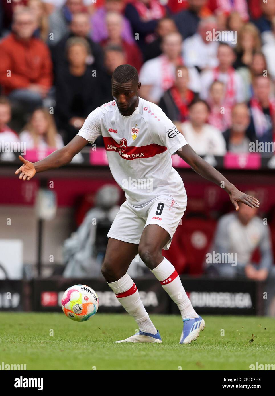 Vfb stuttgart football club hi-res stock photography and images - Alamy