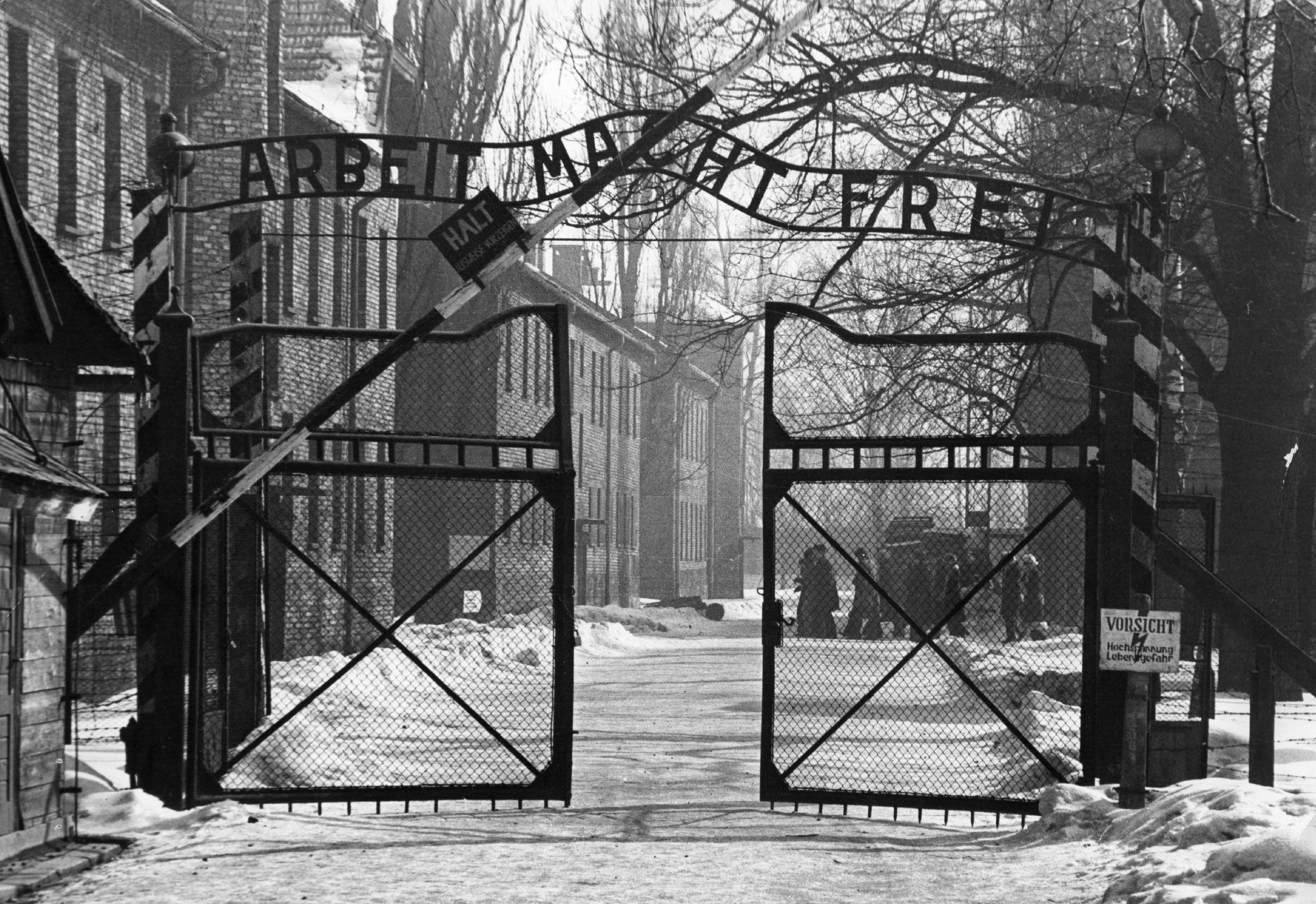 72 anos da libertação de Auschwitz - Revista Galileu | Sociedade